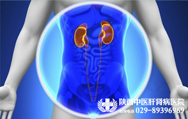 痛风,肾病