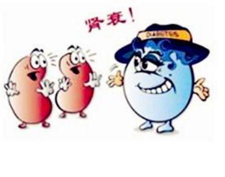 肾炎、肾功能不全、肾衰竭、尿毒症4个阶段,看看你属于哪个阶段!